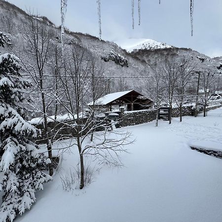 Вилла Biocinovici Vikendica Колашин Экстерьер фото